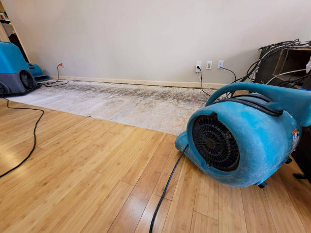 Professional Basement Flood Cleanup technician working in White Deer, TX